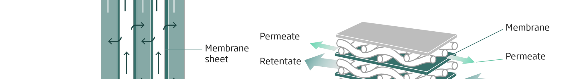 NIRAS Illustration Life Science Figur 1